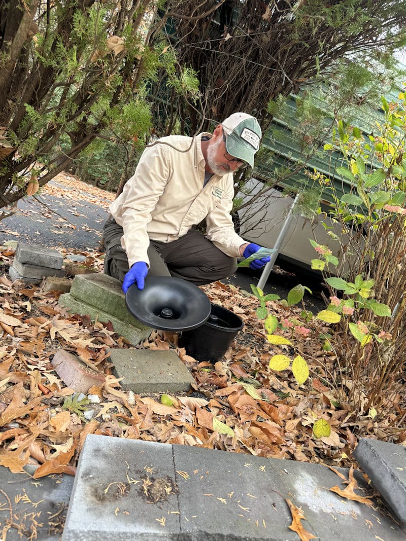 Real client property — outdoor space where mosquito pressure builds