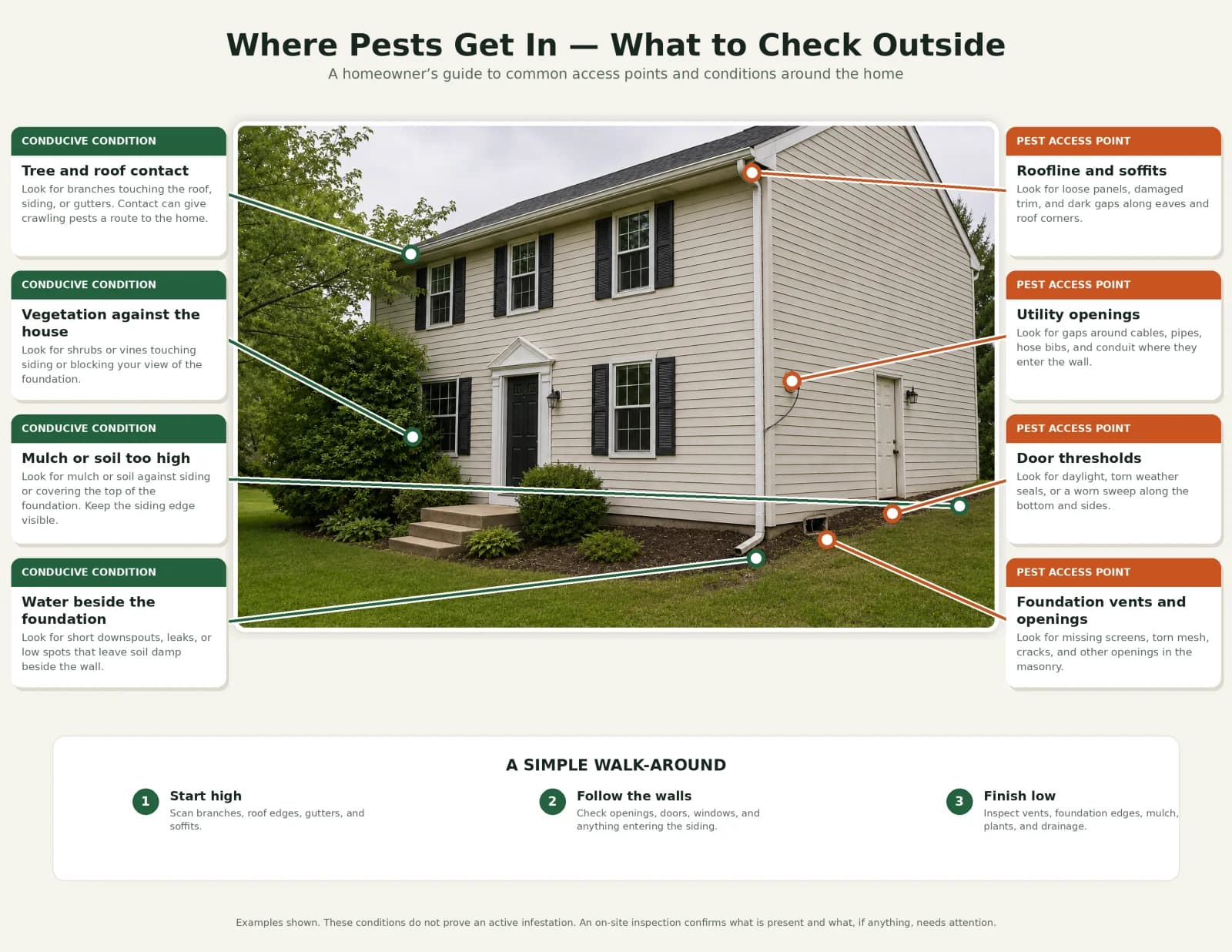Where pests get in — a homeowner's guide to common access points and conditions around the home