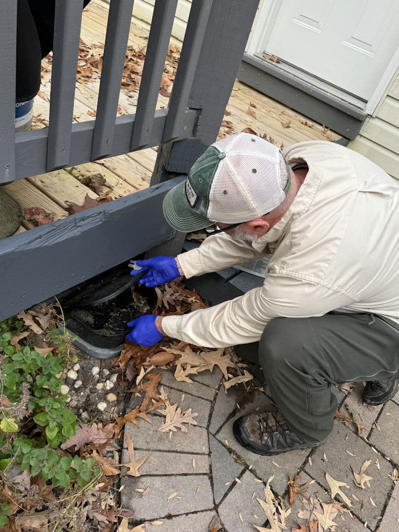 Real client property — rodent activity typically enters homes through small exterior gaps