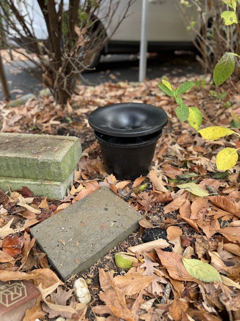 A mosquito station sitting in leaf litter beside a paving stone