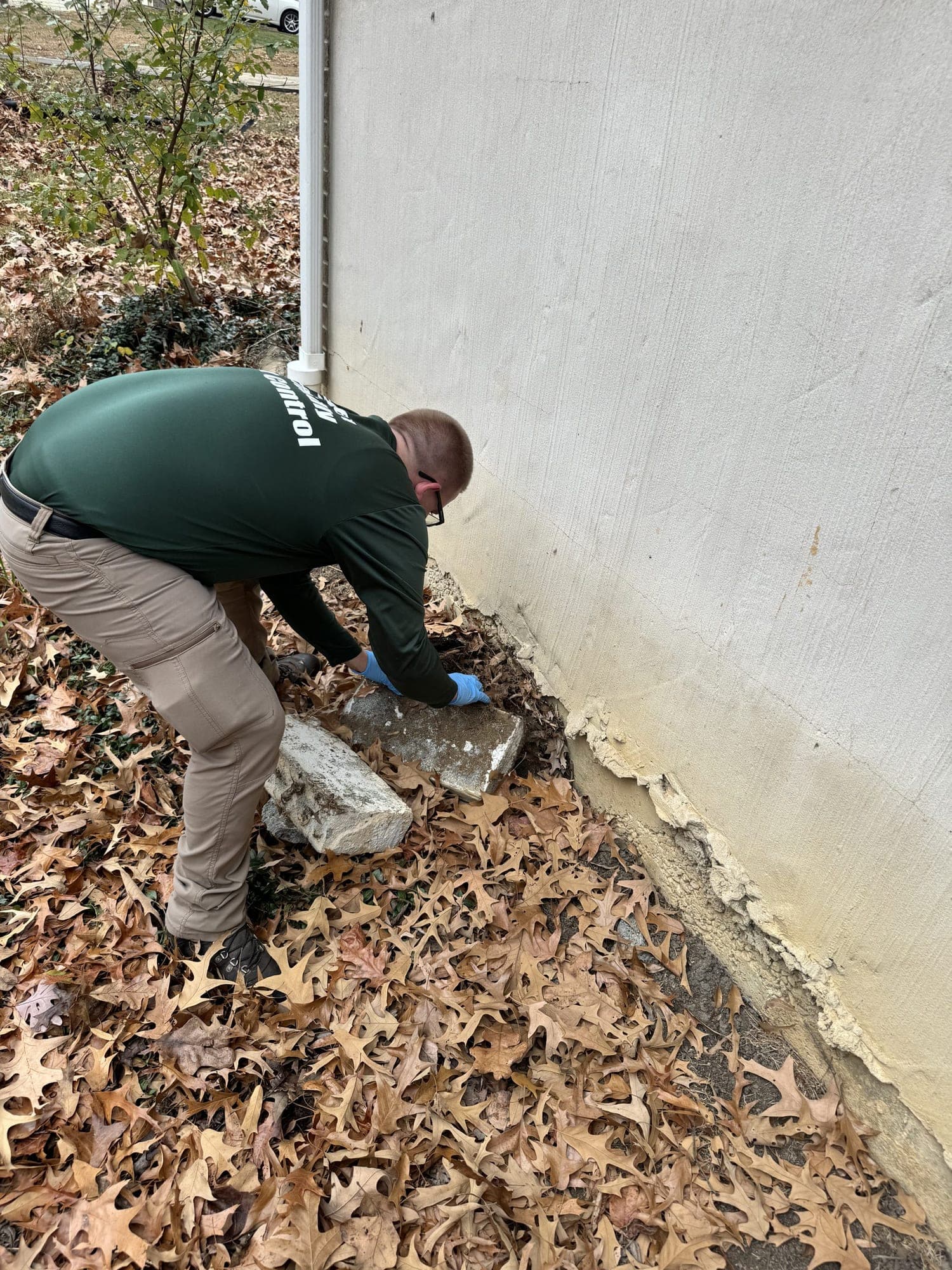 Our Outside-First, Eco-Smart Spider Control Approach