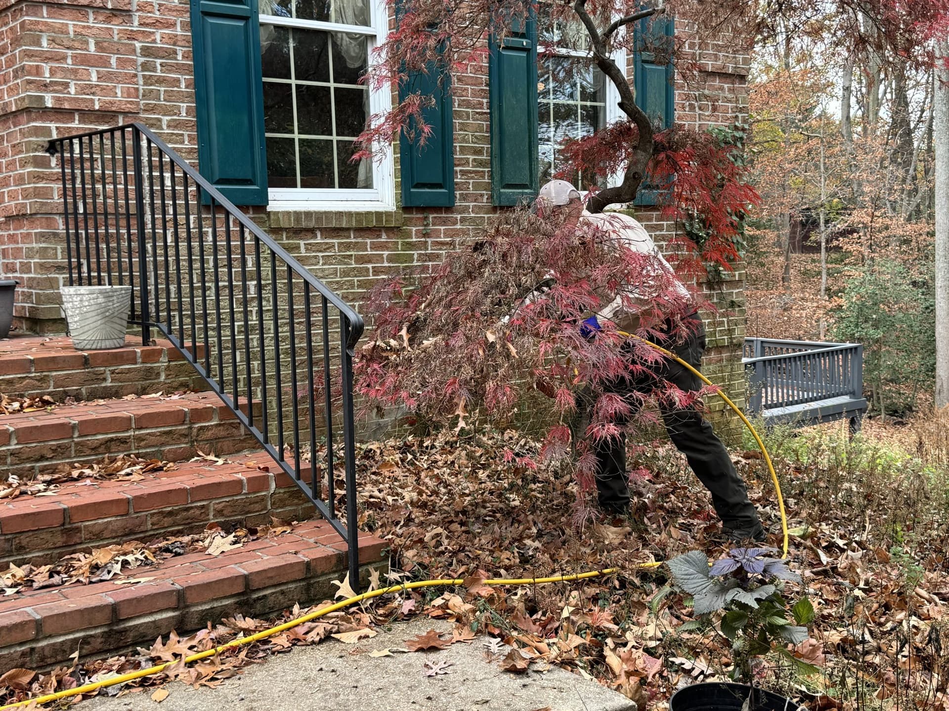 A Planet Friendly technician treating the exterior perimeter of a home