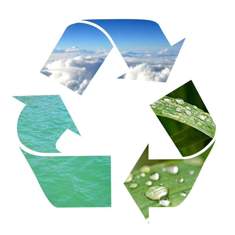 Eco-Friendly