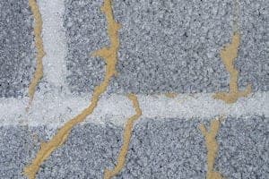 Termite Mud Tubes