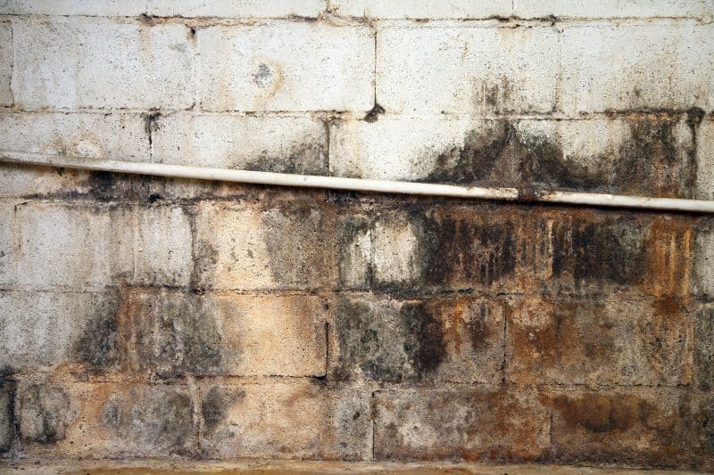 Water-damaged-and-moldy-crawl-space