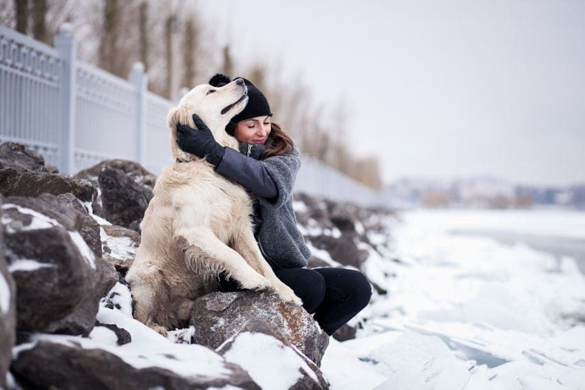 Should I Worry About Ticks in the Winter?