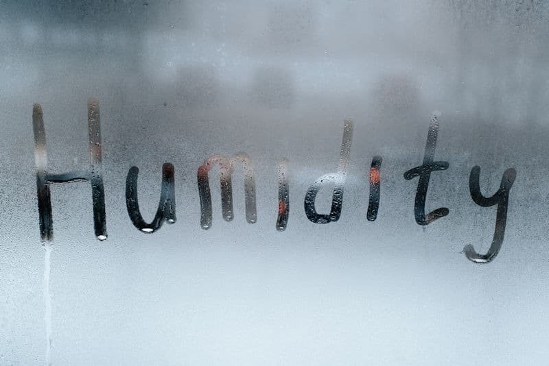 Humidity