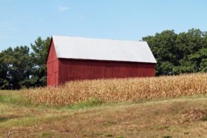Red barn in cornfield, Calvert County, MD