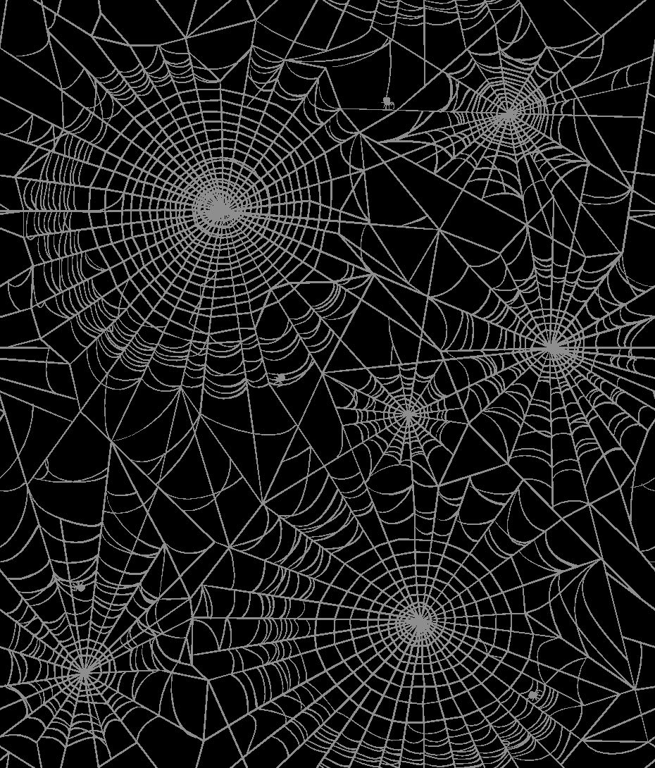 Spider Web