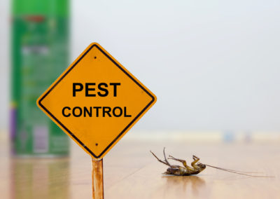 What Should I Do After a Pest Control Treatment Is Done on My Southern Maryland and Northern Virginia Home?