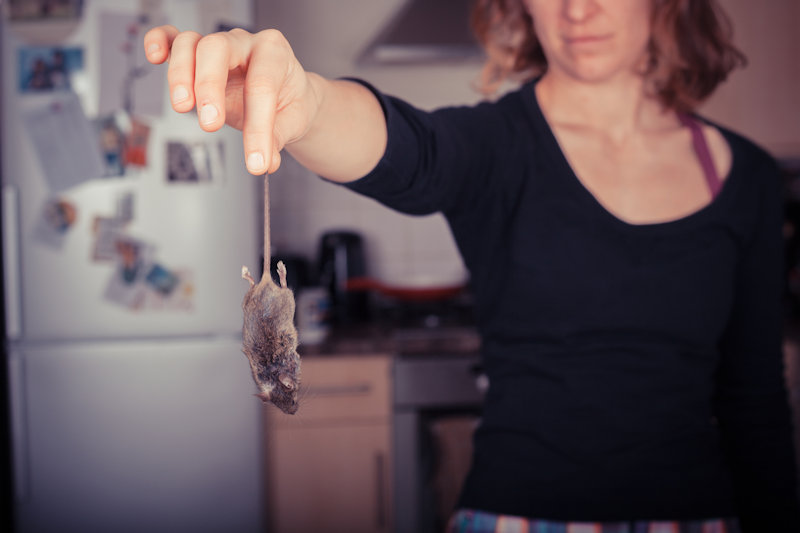 Young woman holding a dead mouse by the tail in her kitchen
