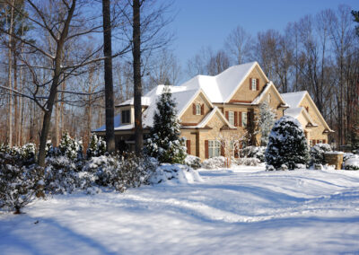 How Active Are Termites in the Winter?