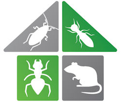 Complete pest control plans
