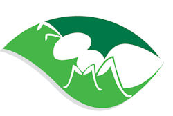 Individual Pest Control Services