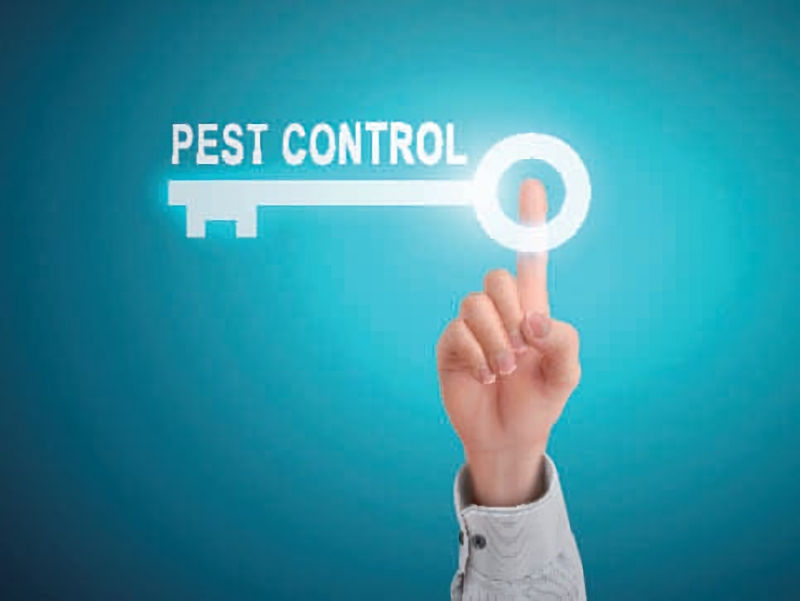 The Benefits of Eco-Friendly Pest Control for Southern Maryland and Northern Virginia Homeowners
