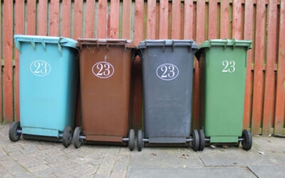 Ensure a Pest-Free Home: How to Pest-Proof Your Garbage Cans